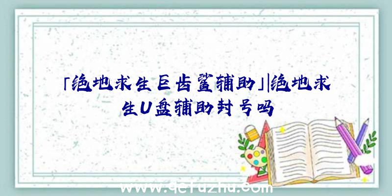 「绝地求生巨齿鲨辅助」|绝地求生U盘辅助封号吗